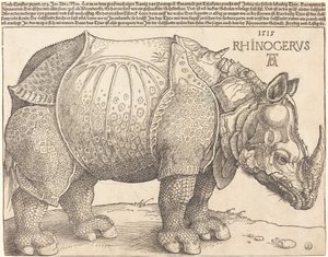 gergedan by Albrecht Dürer
