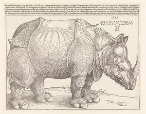 gergedan by Albrecht Dürer