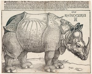 gergedan by Albrecht Dürer