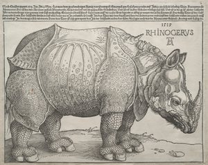 Gergedan, 1515. by Albrecht Dürer