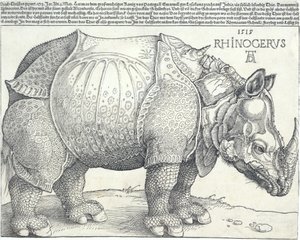 Gergedan, 1515., 1515. by Albrecht Dürer