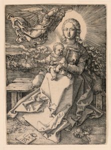 Bir Melek Tarafından Taçlandırılan Bakire by Albrecht Dürer