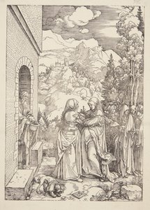 Ziyaret by Albrecht Dürer