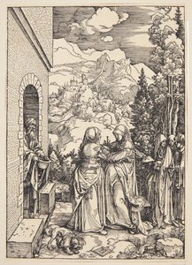 Ziyaret by Albrecht Dürer