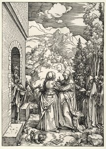Ziyaret by Albrecht Dürer