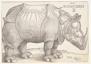 gergedan by Albrecht Dürer