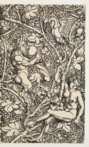 Satyrfamily ile goblen için iki tasarım by Albrecht Dürer