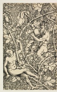 Satyrfamily ile goblen için iki tasarım by Albrecht Dürer
