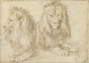  by Albrecht Dürer