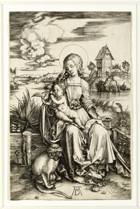  by Albrecht Dürer
