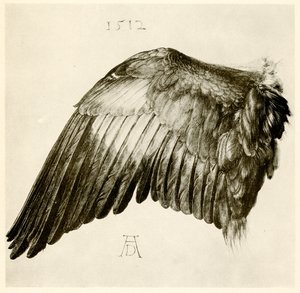 Mavi bir silindirin kanadı by Albrecht Dürer