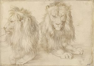 İki yalancı aslan. 1521 by Albrecht Dürer