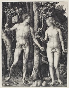 Adem ve Havva by Albrecht Dürer