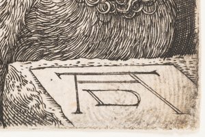  by Albrecht Dürer or Duerer