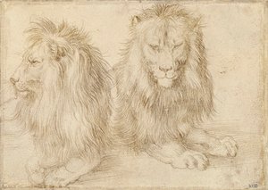 İki Oturan Aslan - Çizim Albrecht Durer (1471-1528) by Albrecht Dürer