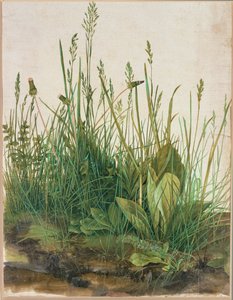 Büyük turba yığını - Das grosse Rasenstueck by Albrecht Dürer or Duerer