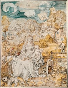 Madonna with a Multitude of Animals (kağıt üzerine suluboya, kalem ve fırça) by Albrecht Dürer or Duerer