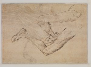 Sol bacağın iki açıdan incelenmesi by Albrecht Dürer