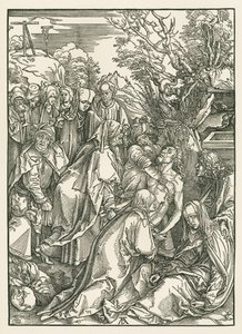  by Albrecht Dürer or Duerer