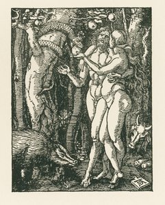İnsanın Düşüşü, c.1510 (gravür) by Albrecht Dürer or Duerer