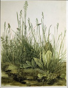  by Albrecht Dürer or Duerer
