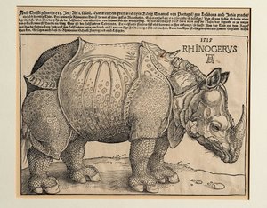  by Albrecht Dürer or Duerer