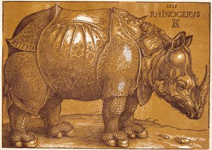 Gergedan by Albrecht Dürer or Duerer