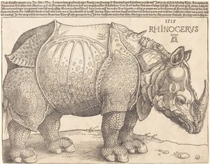 gergedan by Albrecht Dürer