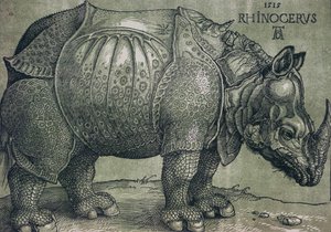 Gergedan, 1515 by Albrecht Dürer
