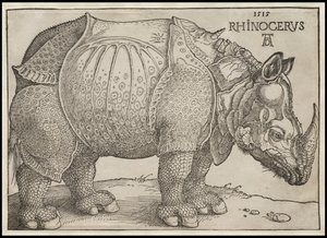 Gergedan, 1515 by Albrecht Dürer