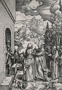 Ziyaret by Albrecht Dürer