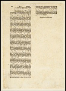 Kıyamet Verso, Aziz Michael Ejderhayla Savaşıyor, 1497 by Albrecht Dürer