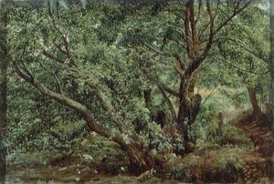 Dere kenarındaki ağaçlar by Aleksandr Andreevich Ivanov