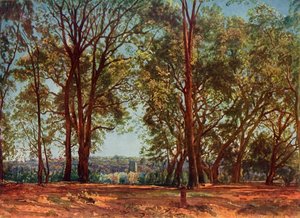 Aricci Parkında, 1830