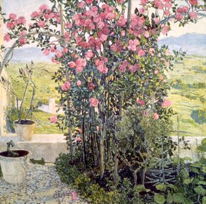 Umbria