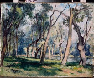 Bir koru - Alexander Vasilyevich Shevchenko'nun (Alexander Chevtchenko) (1883-1948) çalışması, karton üzerine yağlı boya