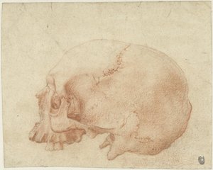 Bir kafatası çalışması by Alessandro Allori