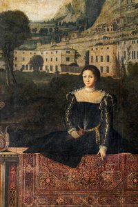 Soylu bir kadının portresi, Soylu Hanımların Küçük Odasının detayı (duvarlara yapıştırılmış tuval üzerine yağlı boya) by Alessandro Bonvicino Moretto