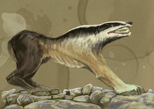 Fantastik canavarlar ve yaratıklar, kriptozooloji: Hindistan veya Etiyopya'dan (crocotta (veya corocotta, crocuta, leucrocotta veya yena) bir crocotte (veya leucrotta, corocotta, crocuta, yena) efsanevi kurt köpeğinin temsili, Hindistan'ın efsanevi