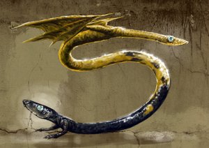 Fantastik canavarlar ve yaratıklar, kriptozooloji: bir Amphisbene'nin temsili, iki başlı mitolojik yılan - (Amphisbaenamitolojik, her iki ucunda birer kafa bulunan karınca yiyen yılan) Çizim, Alessandro Lonati, 2012 by Alessandro Lonati