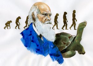 Charles Darwin'in Portresi - İngiliz doğa bilimci Charles Darwin'in Portresi (1809-1882) İllüstrasyonu