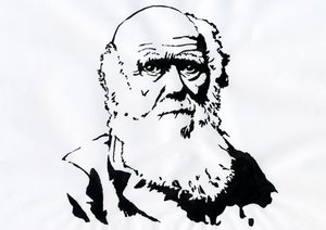 Charles Darwin'in Portresi - İngiliz doğa bilimci Charles Darwin'in Portresi (1809-1882) İllüstrasyonu by Alessandro Lonati