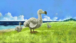 Soyu tükenmiş dodo kuşunun temsili (resim) by Alessandro Lonati