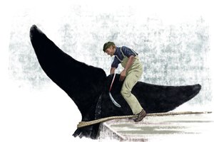 Balina teknesi bir balinanın kuyruğunu kesiyor by Alessandro Lonati
