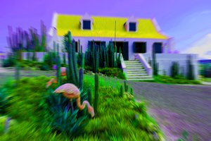 Bebek evi,2019.(fotoğraf) by Alex Caminker