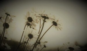 Bölüm,2019,(fotoğraf) by Alex Caminker
