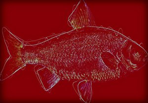 Fish V,2020 ,(karışık ortam) by Alex Caminker