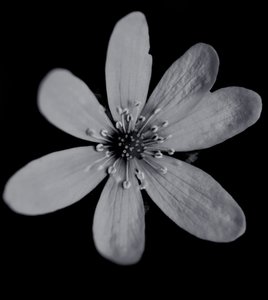 İsimsiz,2019,(fotoğraf) by Alex Caminker