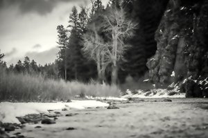 aksan,2019,(fotoğraf) by Alex Caminker