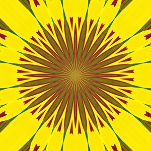geometri,2019,(dijital) by Alex Caminker